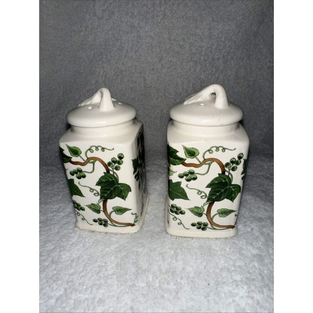 Ivy Ceramic Salt And Pepper Shaker Set Made In Japan